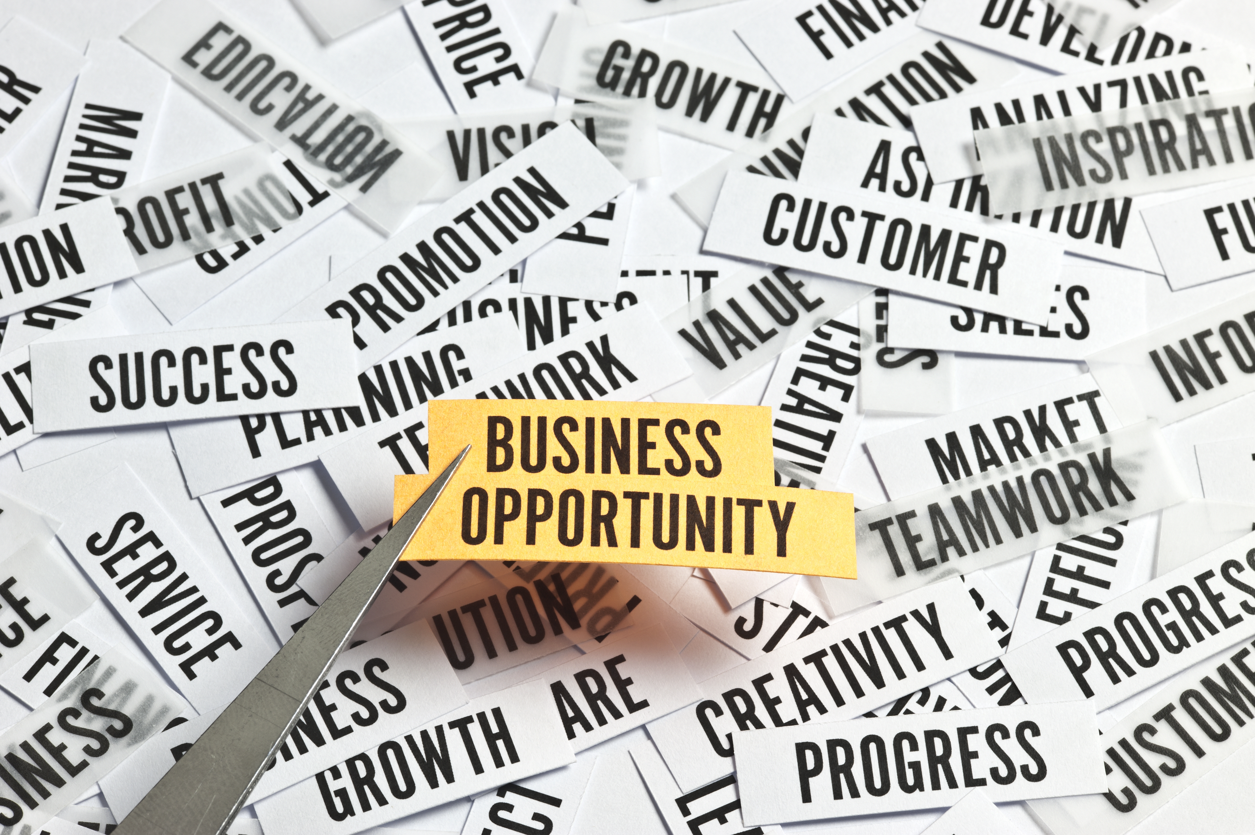 Business opportunity graphic