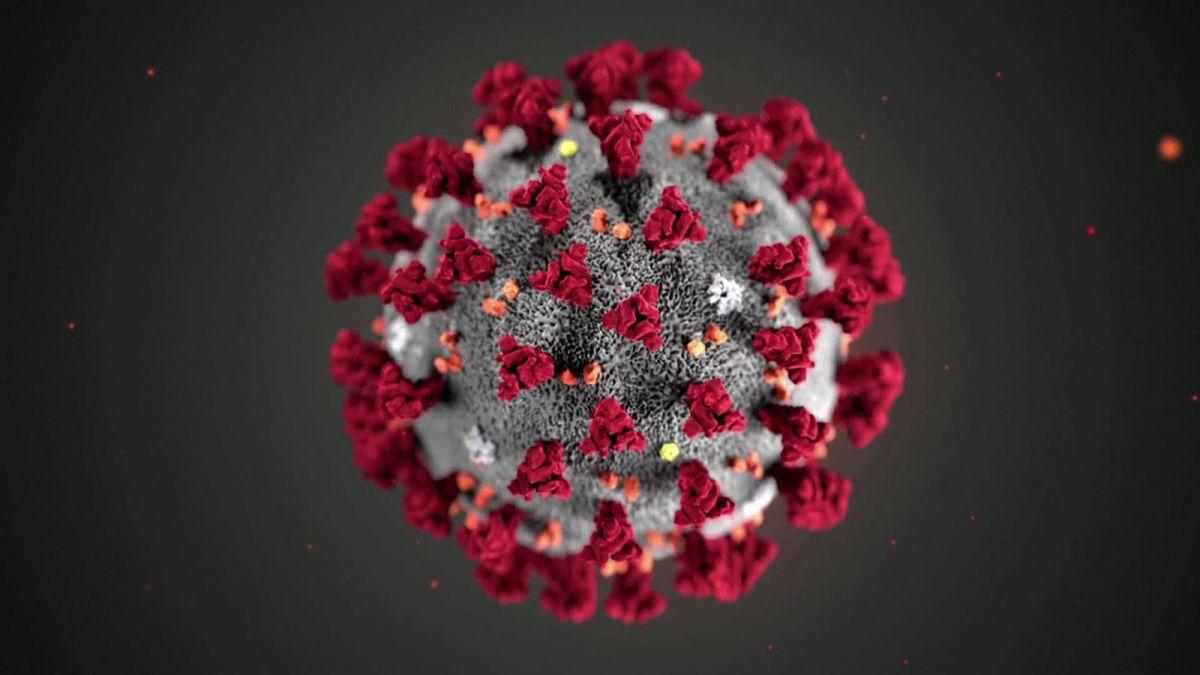 coronavirus.jpg