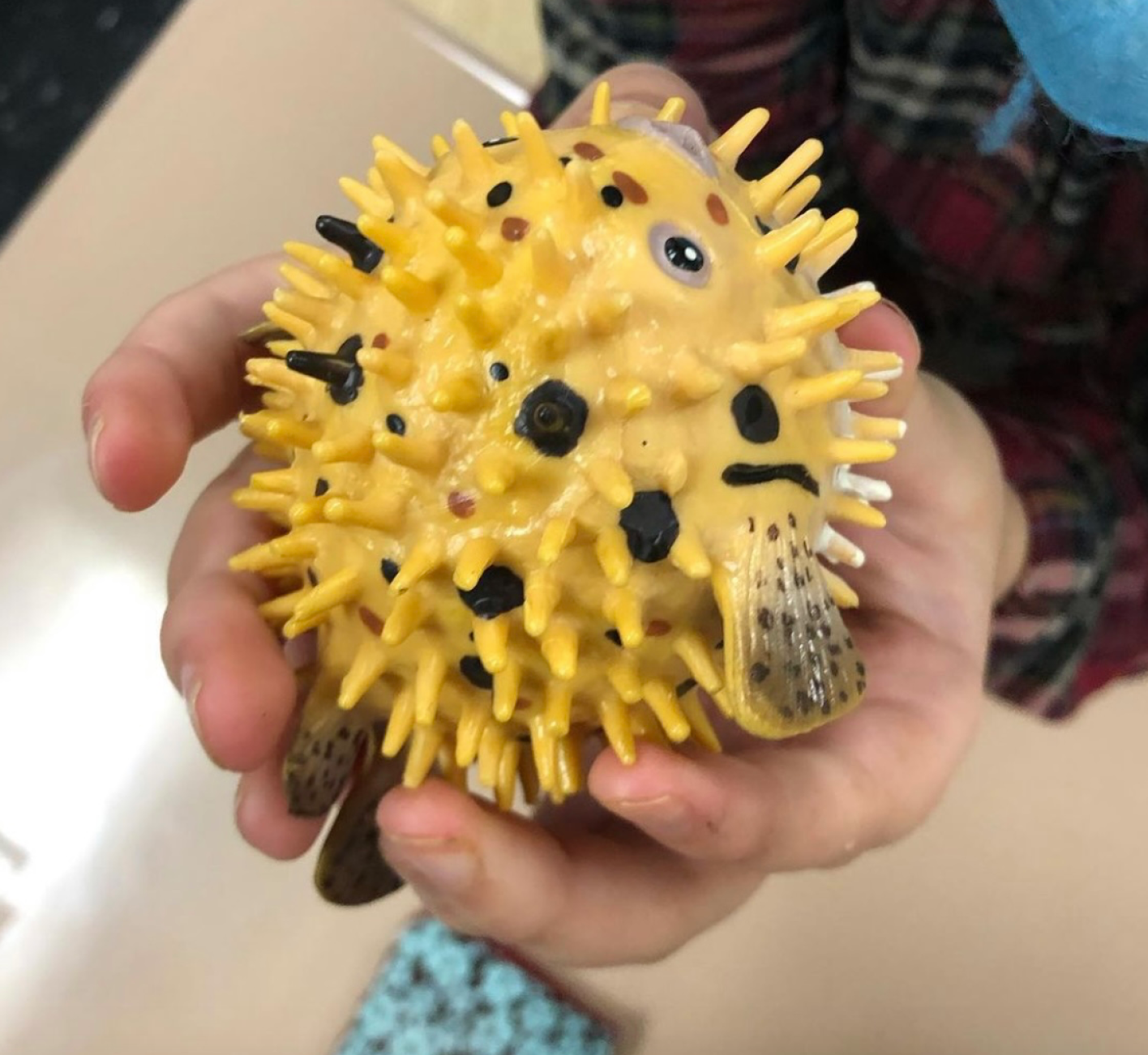 Pufferfish