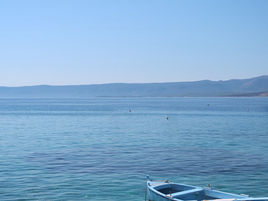 “If You Say So” Faith