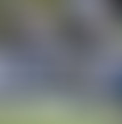 Top 5 NFL's Likely Bounce Back Players