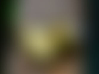 Sliced green apple covered in small flies on a glass plate, placed on a wooden surface. The mood is unsettling and unsanitary.