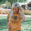 Thumbnail: Bee Happy T-Shirt (Unisex)