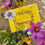 Thumbnail: Grow Flowers Help the Bees - Seed Mix