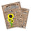 Thumbnail: Sunflower