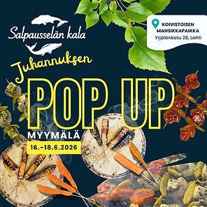Salpausselän kalan grilliherkut juhannukseksi pop up myymälästä
