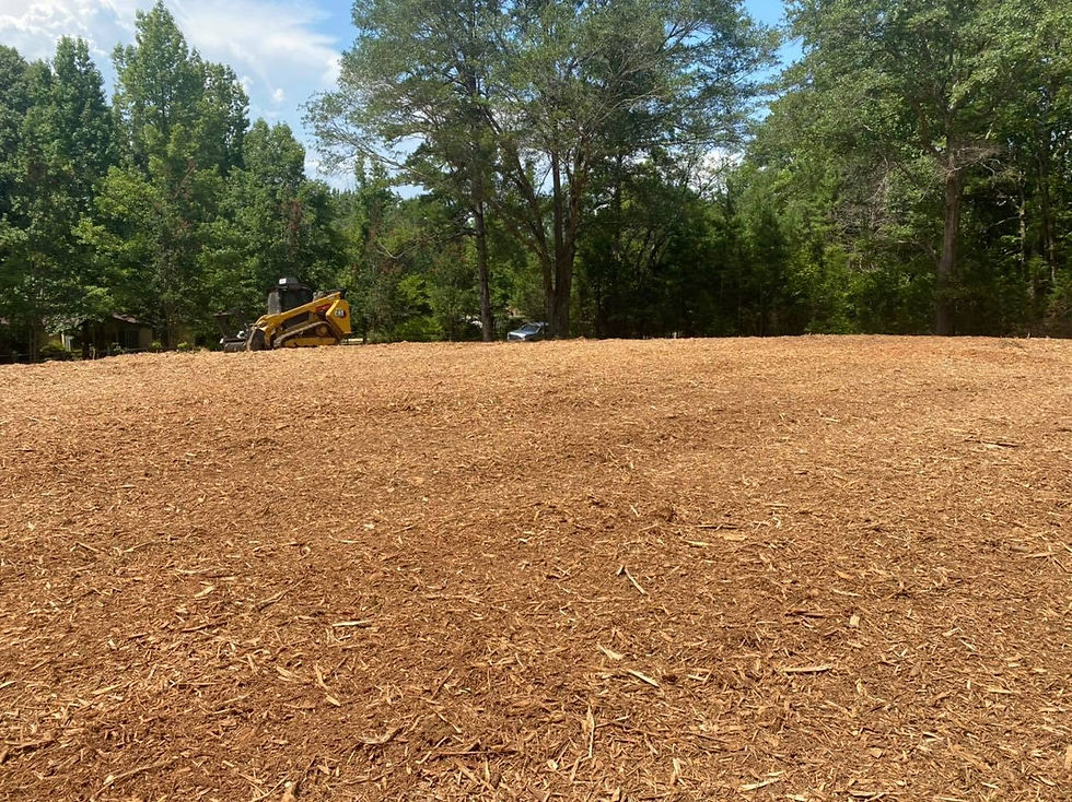 Skid steer finishing a mulched lot after land-clearing work