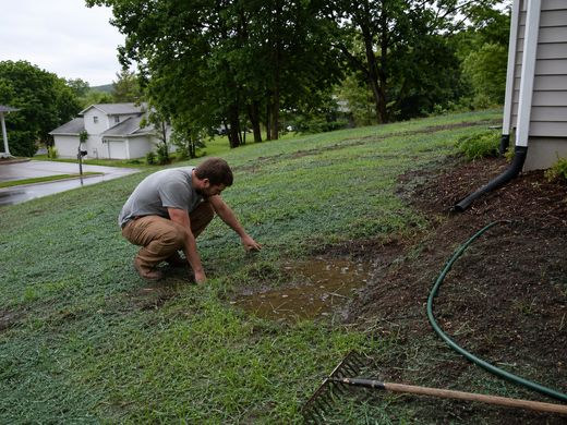 How to Fix Standing Water in Hydroseeded Yards in La Crosse WI