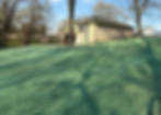 Fresh residential hydroseed application covering a sloped backyard