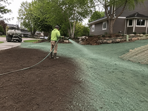 What Factors Affect Hydroseeding Pricing in Rochester MN?