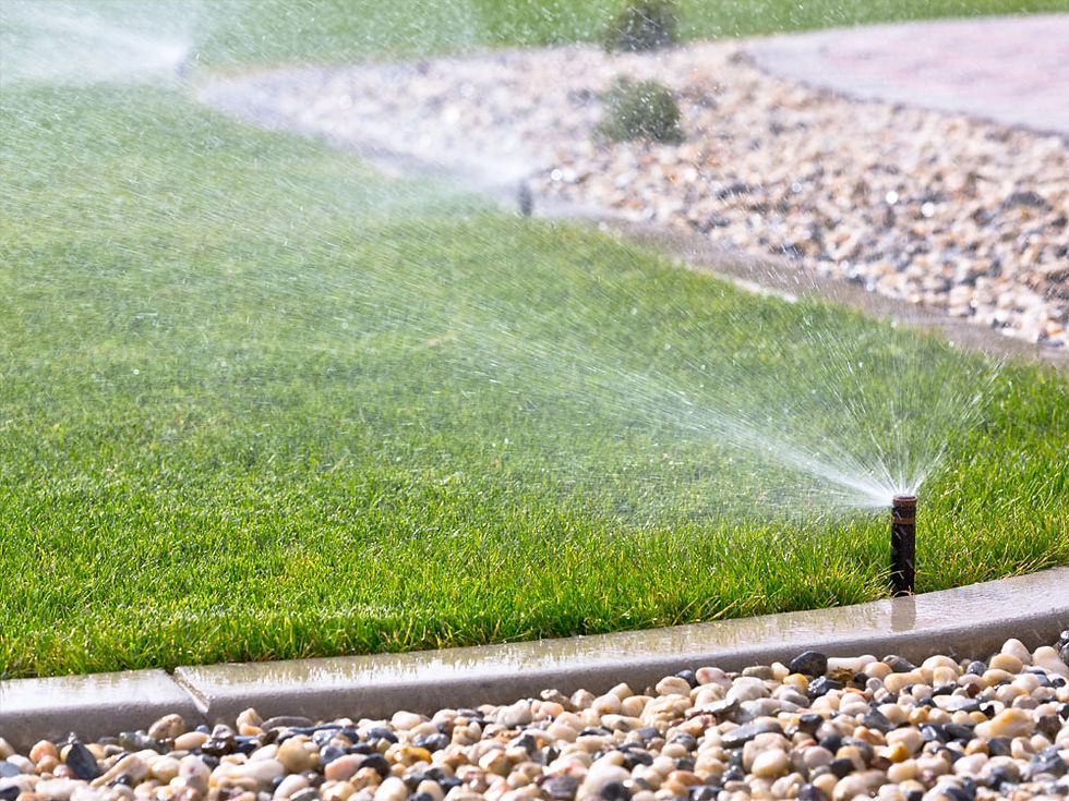 Lawn irrigation sprinkler watering healthy newly established grass