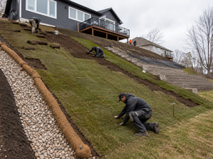 Sod Installation Cost for Steep Hills in Rochester, MN
