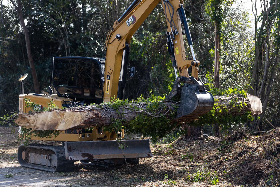 Excavator removing a large tree trunk during tree and stump removal