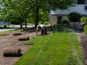 Sod Installation During Summer Heat Waves in Rochester MN