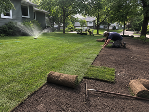 Sod Installation and Watering Schedule in Rochester MN Summer