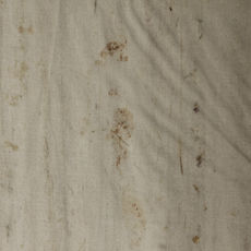 Huella Reparada(A)Escala 1_1 (14).JPG