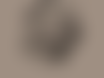 Stoner, de John Williams. La belleza de una vida común