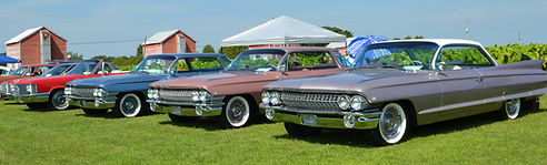 DSC_0059 (2).JPG