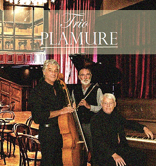 Trio Plamure.png