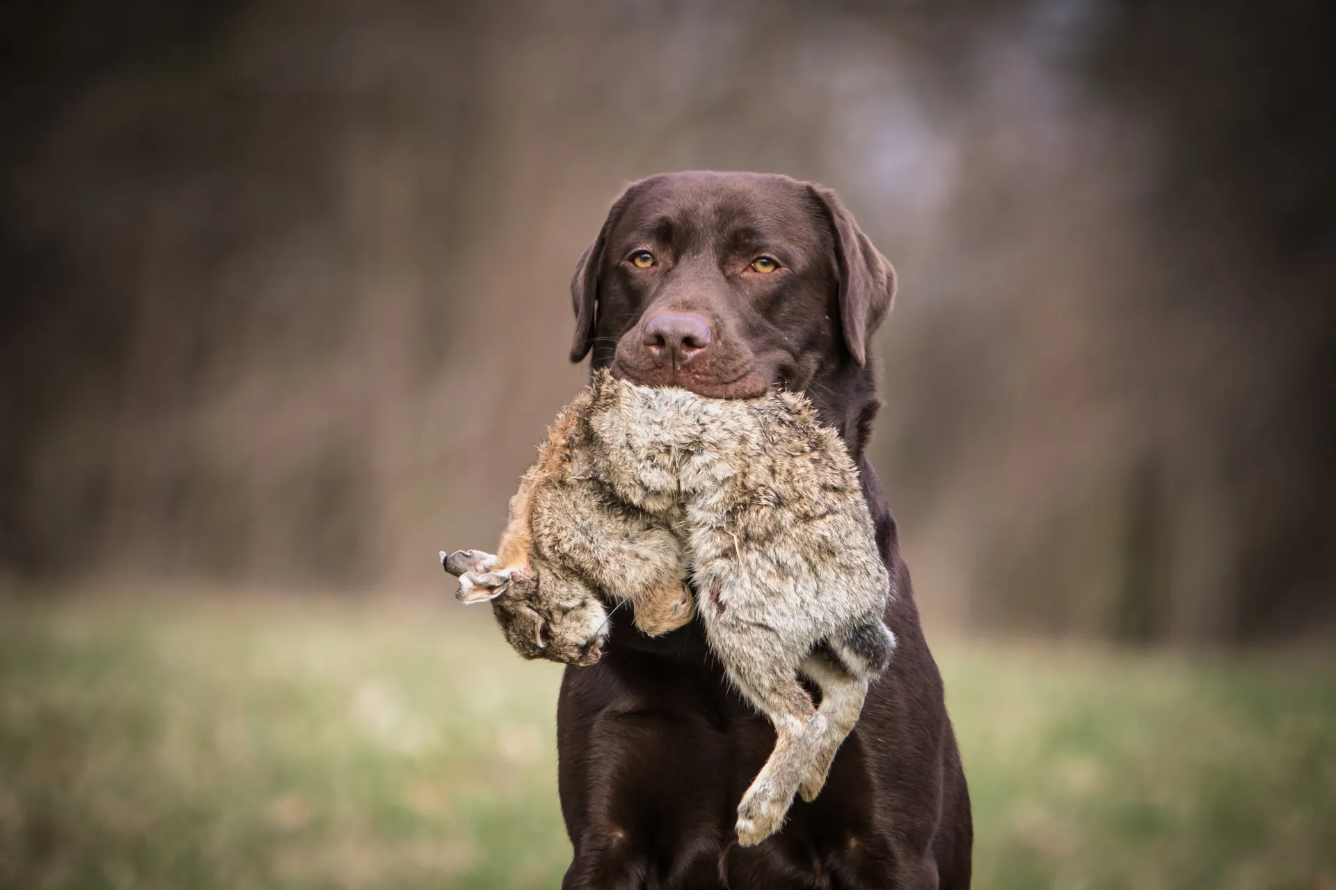 2F0A6255-2-1920w.webp