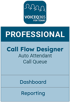 VoiceQ365 - Professional.PNG