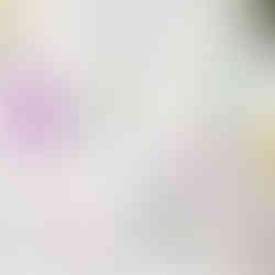 Wedding table name cards - gin bottles