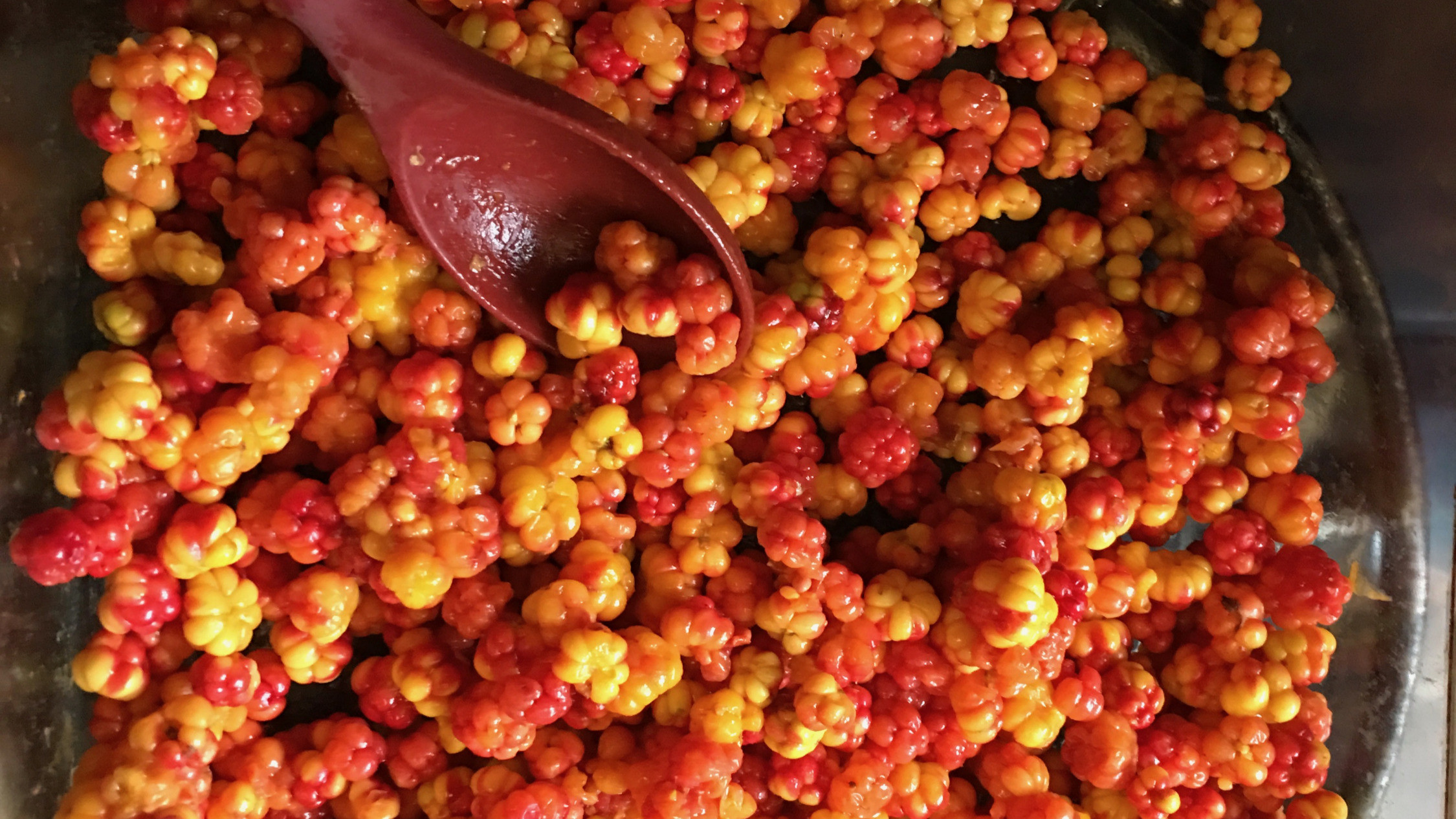 Food Security Grants