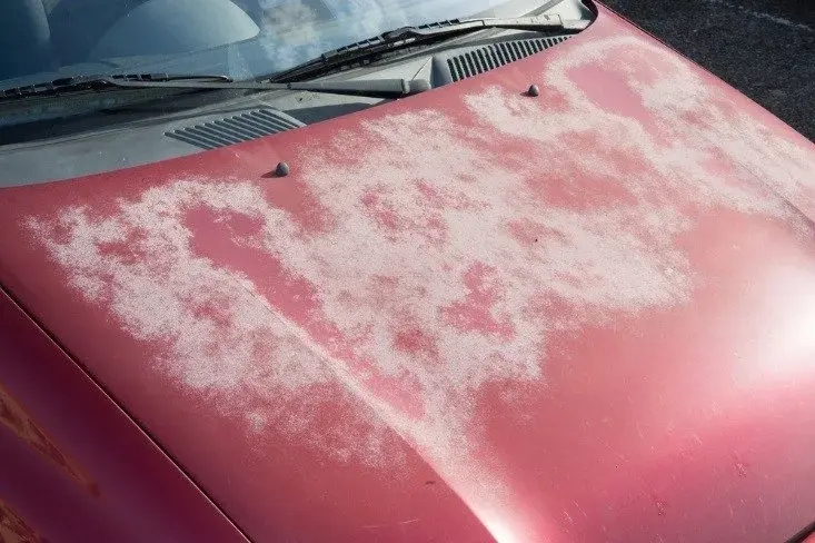 UV-damage-on-vehicle-removal.webp