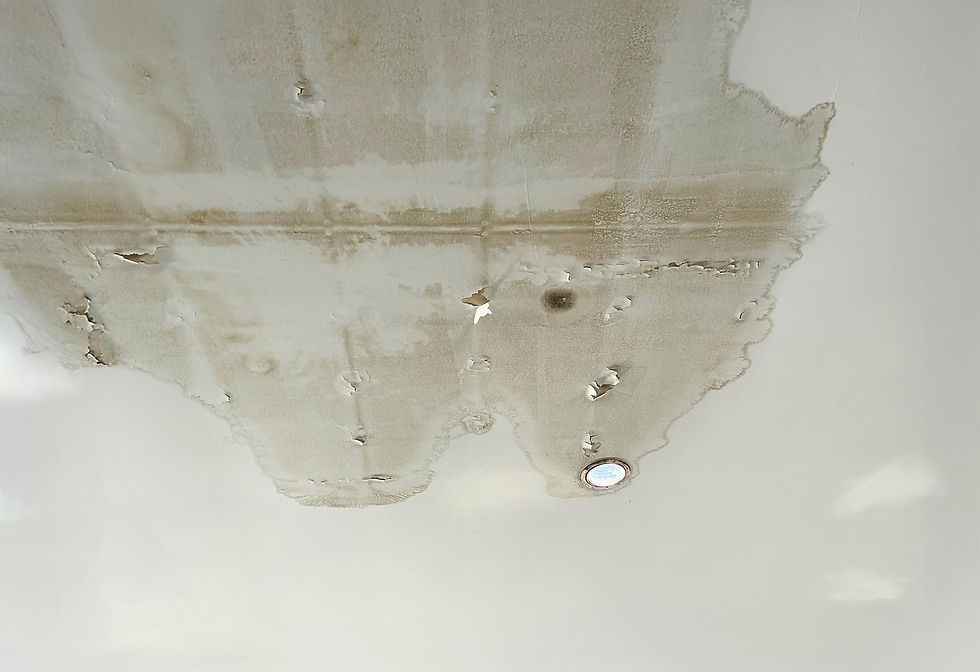 Ceiling water stain caused by exterior envelope failure and roof leak.