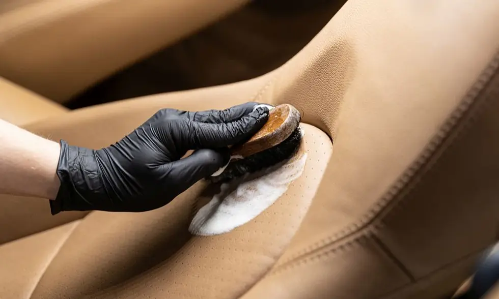 leather-cleaning-etobicoke.webp