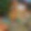 Thumbnail: Concealed Knife Plate