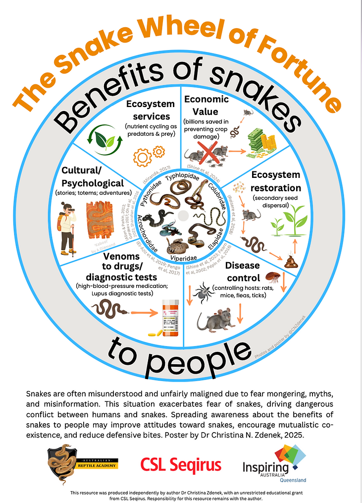 250724_SnakeWheelOfFortunePosterByCNZdenek_screenshot.png