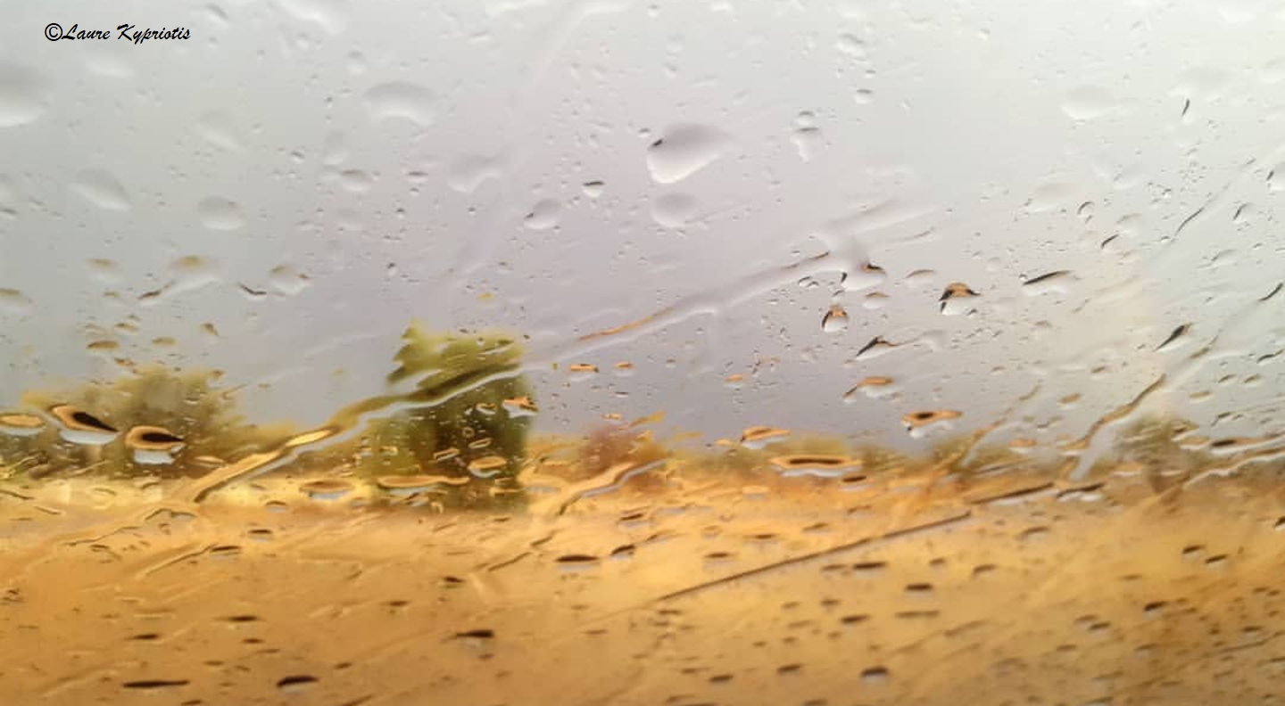Desert rain