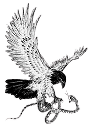 eagle and snake