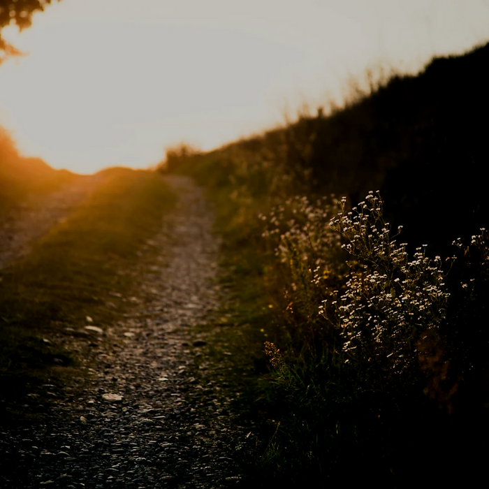 citation Je t'aime - rayon de soleil sur un chemin.png