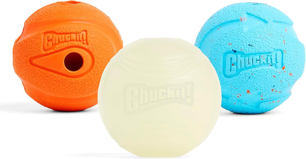 Balls are a classic favorite for many dogs and can be fantastic for games like fetch, helping your puppy burn energy while strengthening your bond. However, not all balls are created equal. Standard tennis balls can sometimes become a choking hazard if the outer material starts to peel, and some cheaper versions may even contain materials or glues that aren’t designed with dogs in mind. That’s why it’s important to choose balls that are specifically made for dogs. My personal recommendation is Chuckit! balls — they are uniquely designed, highly durable, and dogs absolutely love them. They’re built to withstand enthusiastic play and can last for years… unless you accidentally lose them somewhere during an epic game of fetch!
