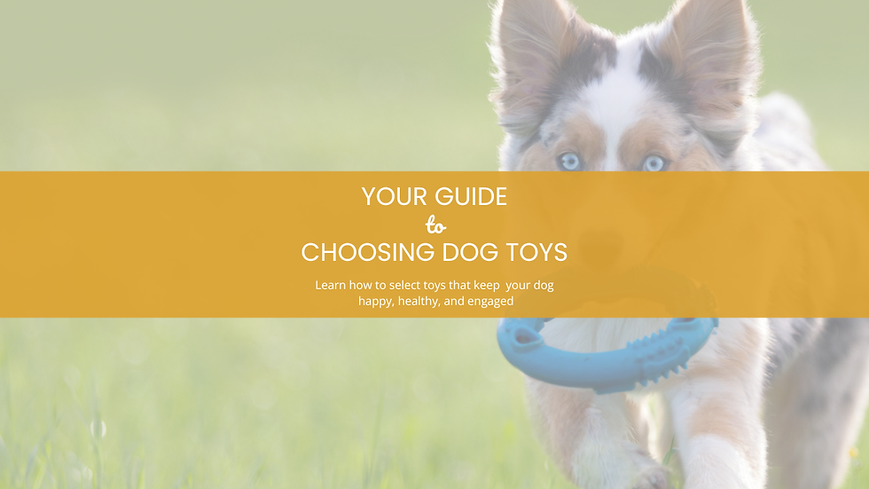 HOW TO CHOOSE THE RIGHT DOG TOY: A COMPLETE GUIDE TO TOY TYPES AND THEIR PURPOSE