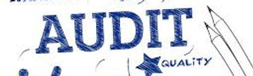 audit.png