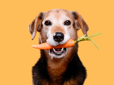What fruits and veggies can dogs eat?