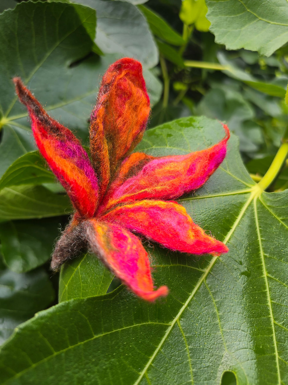 Another flower - this one in firey colours backed by earthy tones which give it depth.