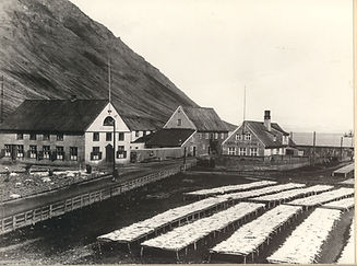 Hæstikaupstaður1 1900.jpg