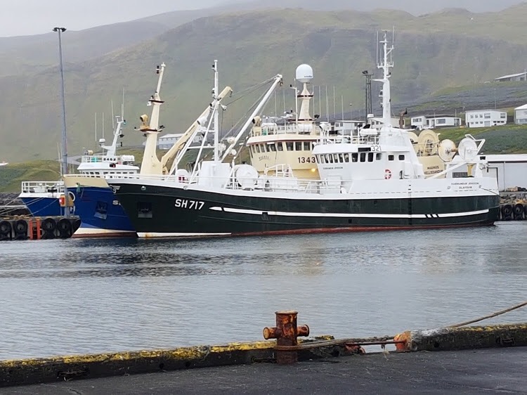 Fiskiskip við höfn