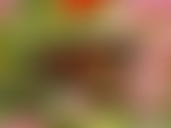 A Healing Meditation