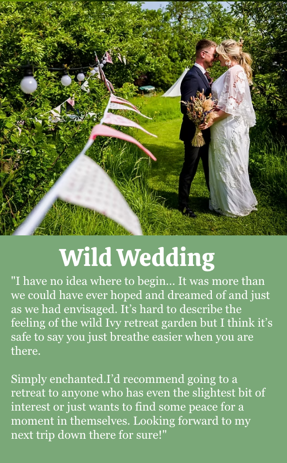 Wild Wedding Quote