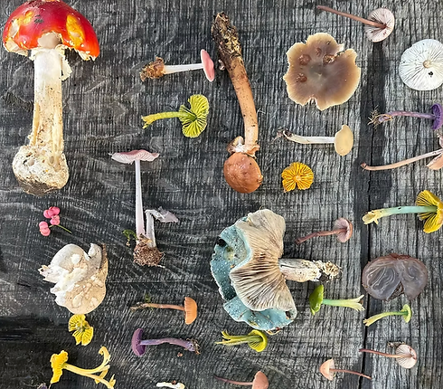 Screenshot 2025-12-23 at 10.56.59.png