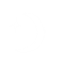 Retreats Wild Ivy Logo