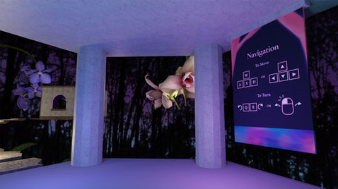 Orchilandia Virtual Exhibition Rendering: Entrance