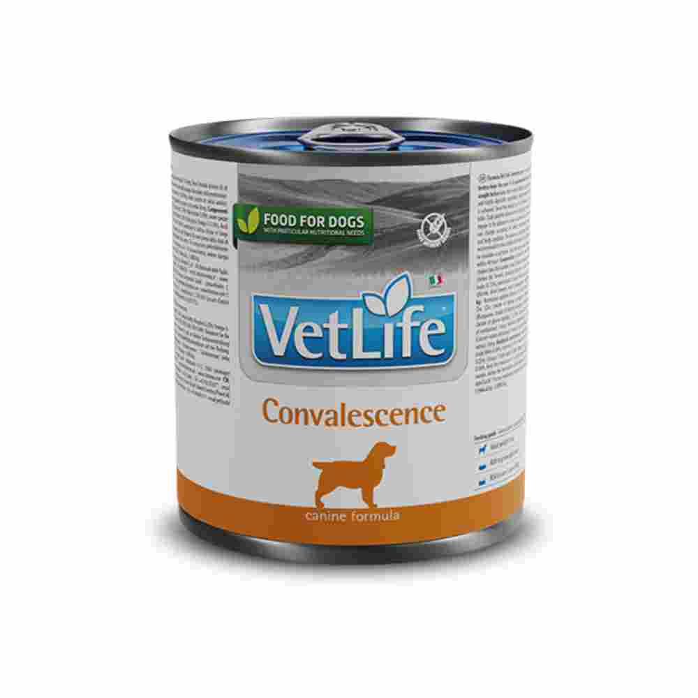 Farmina Vet Life Convalescence, 300g