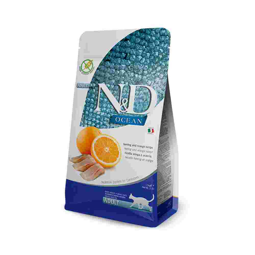 N&D Ocean Adult - Sled