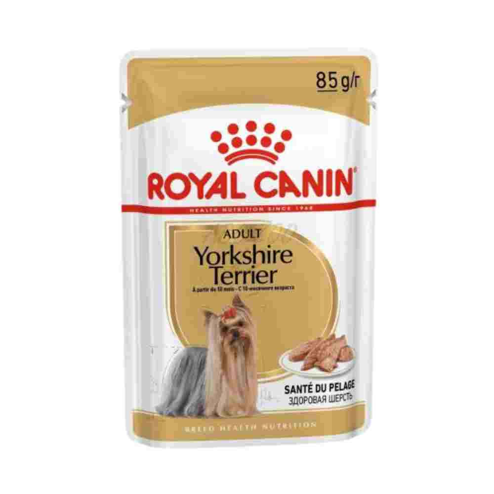 Royal Canin Yorkshire Terrier